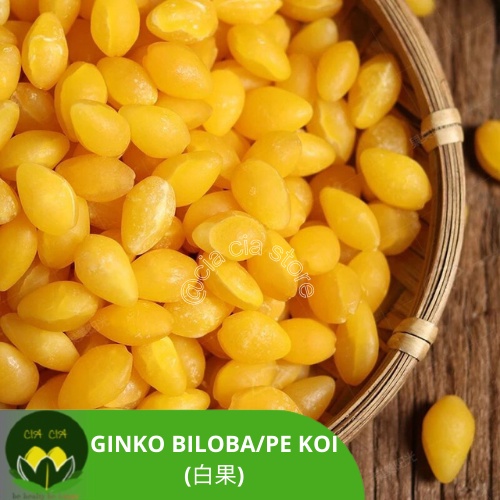 

Ginko biloba / ginko nut / pe kea / kupas fresh kering 50 gram