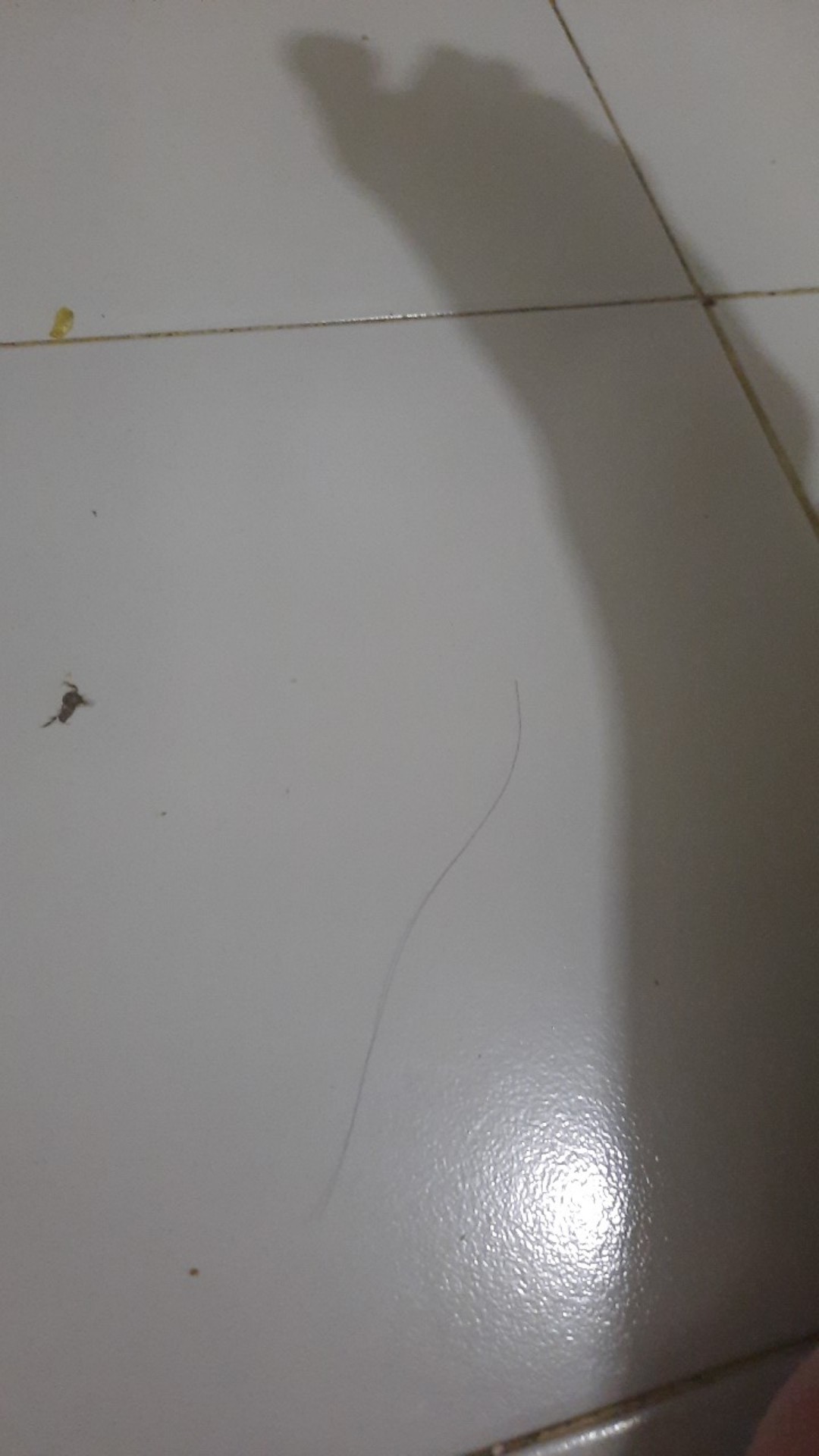 Ssdm70 Tempat Sponge Wastafel Cuci Piring Saringan Sampah Spon Sudut Rak Buah 67ruye5e