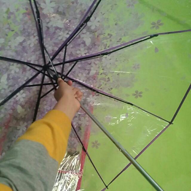 Ra 11 Payung Lipat Transparan Motif Bunga Sakura