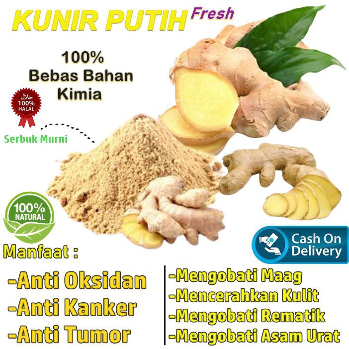 

KUNIR PUTIH KERING MURNI ALAMI KUNYIT PUTIH KERING ASLI ORIGINAL TEMU PUTIH KERING CURCUVAL PLUS COD