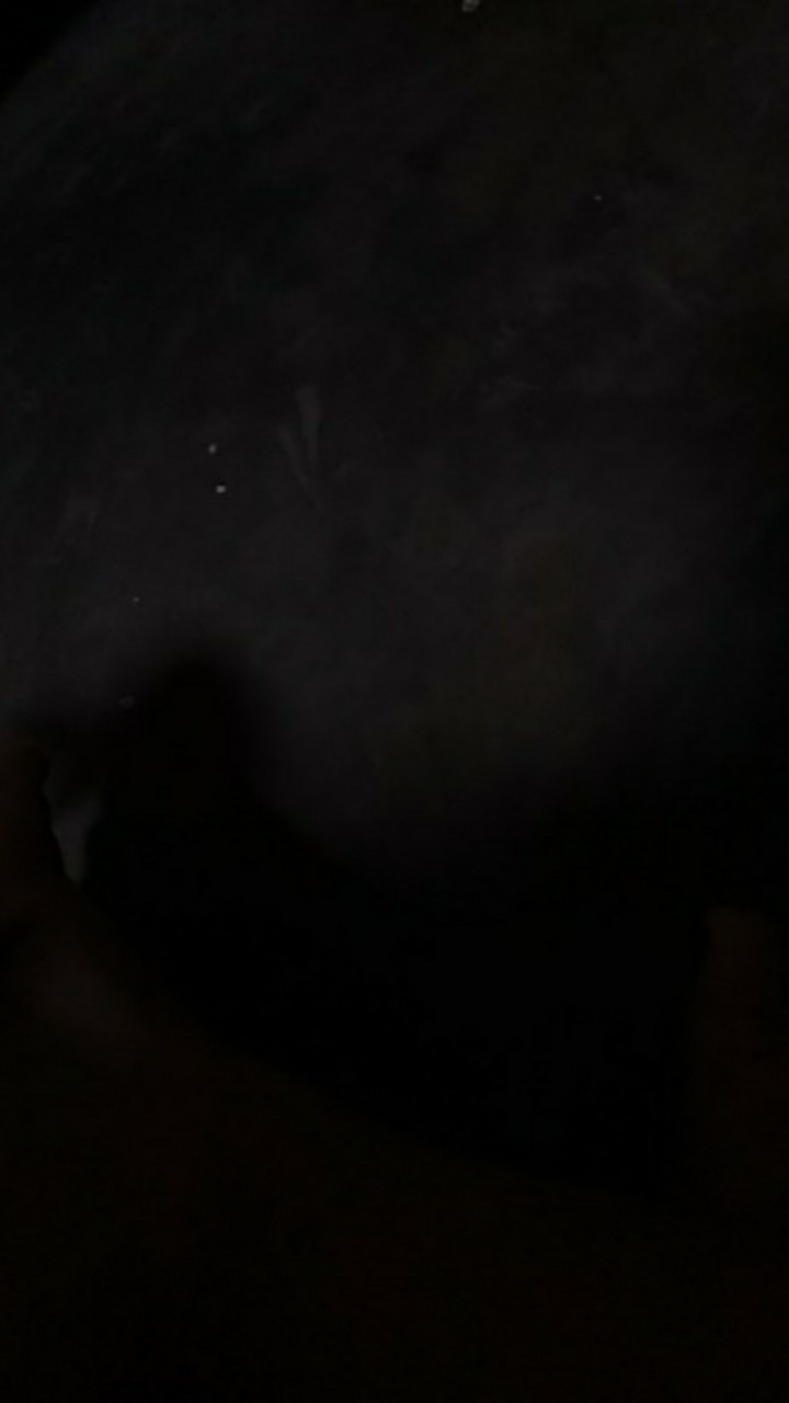 Promo 20.20 Bswart Batik Hrb026 Kenongo Padi Pekalongan M L Xl Batik Pria Murah Modern Grosir