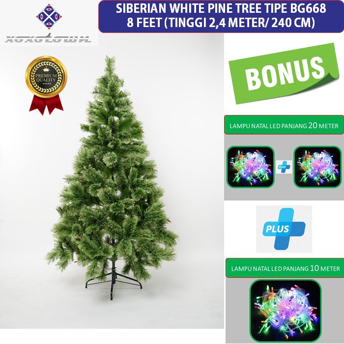 Pohon Natal 8 Feet / 240 Cm / 2,4 Meter Siberian White Pine Tree Tipe-BG668