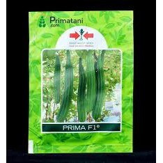 Benih Oyong Prima F1 Kemasan Repack