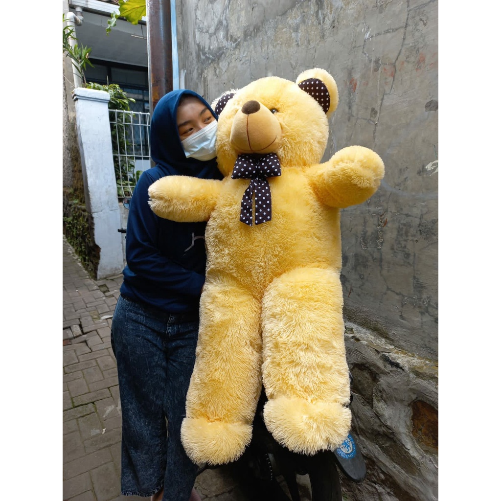 BONEKA TEDDY BEAR POLOSAN XXL |  BERUANG BESAR | BONEKA TEDDY BEAR 1 METER | TEDDY BEAR MURAH 1 METER