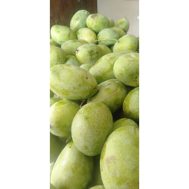 

mangga madu manalagi