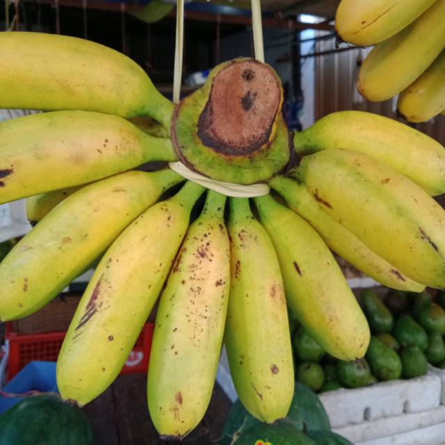 

Pisang mas