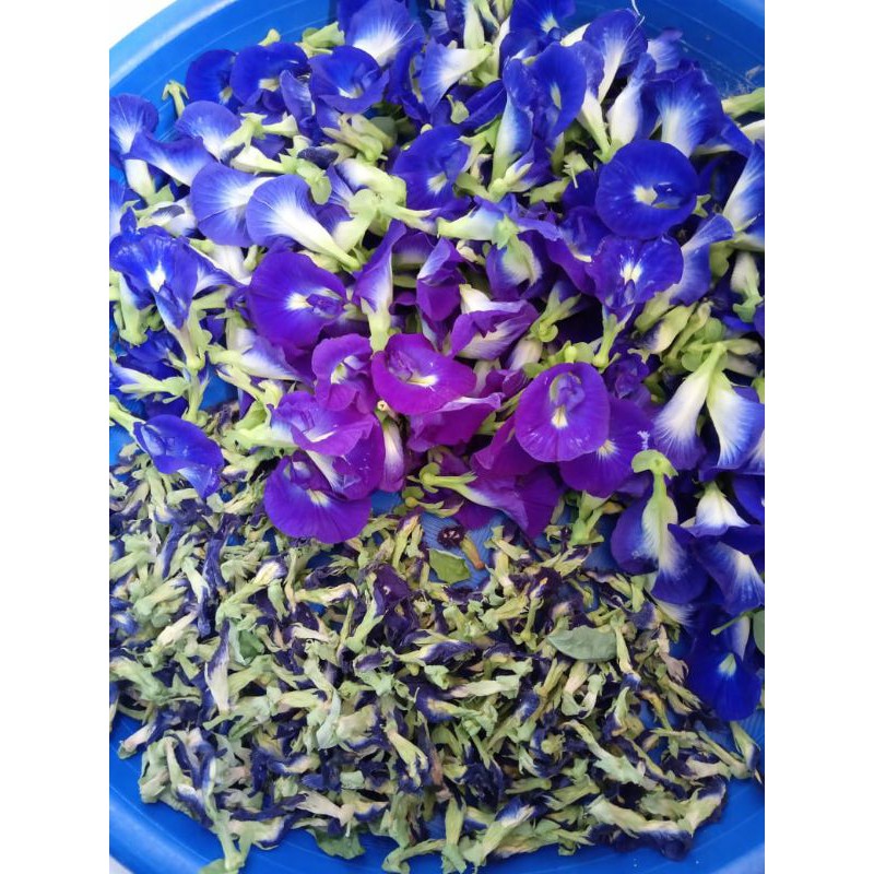 

kembang teleng/Telang kering 10 gram