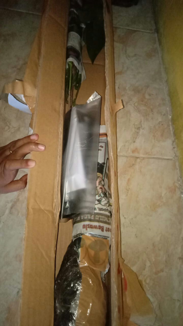 Tanaman Jambu Air Madu Deli Hijau (buy 1 Get 1)