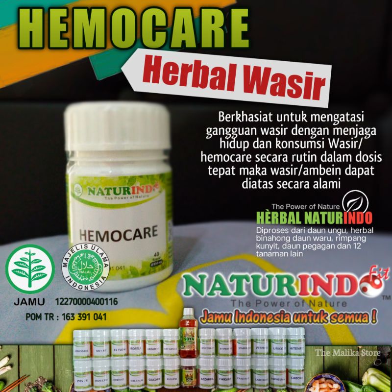 

Hemocare Obat Herbal Wasir