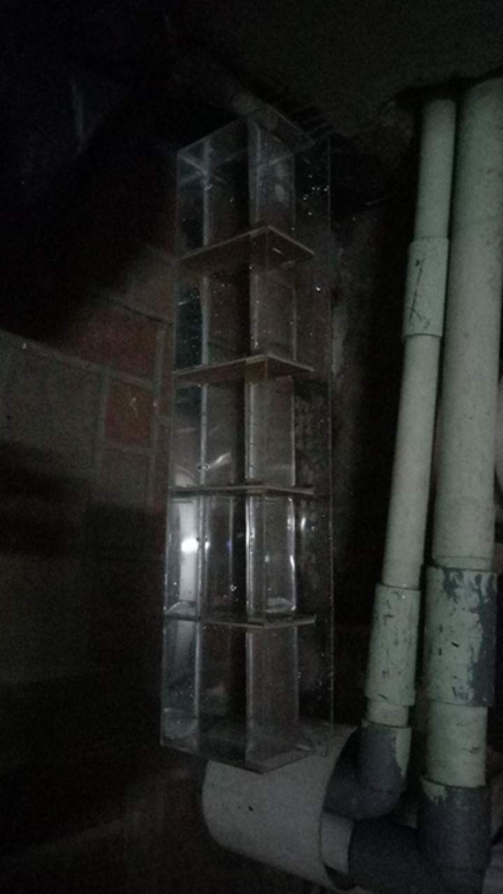 Soliter Akrilik Cupang Akuarium Cupang Mini Selfie 5 Kamar 50 X 6 X 12 2mm Bening