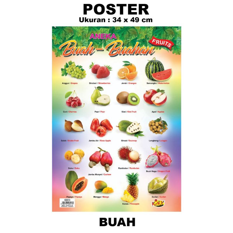 

Poster Edukasi kiky (34X49)