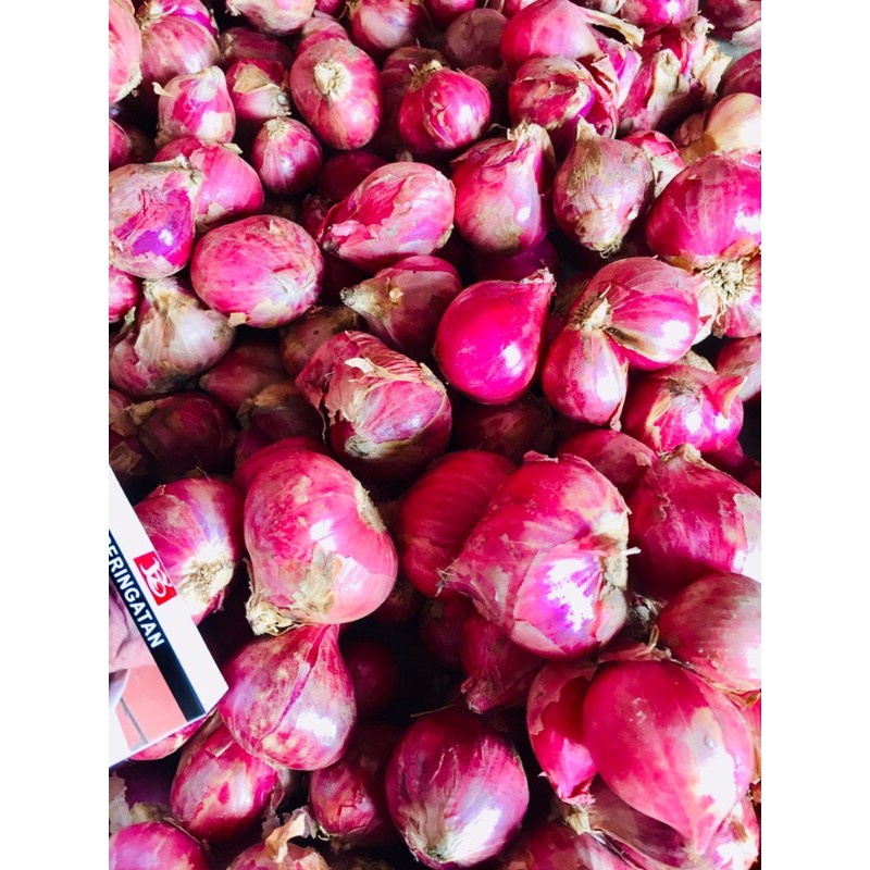 

Bawang Merah Jumbo Segar asli Alahan Panjang