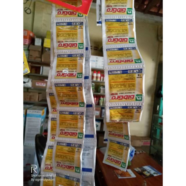 ZPT gibgro hormon ga3