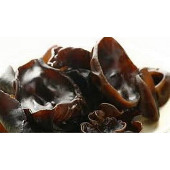 

Jamur Kuping