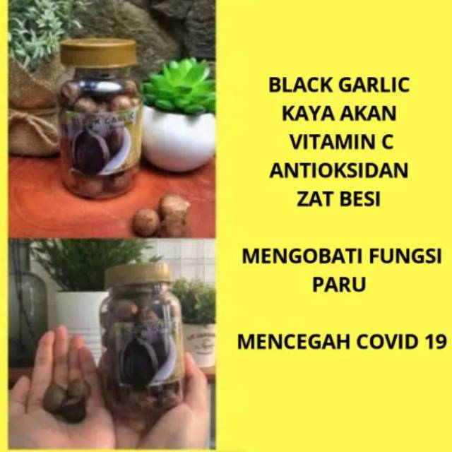 

Black garlic bawang tunggal hitam 250 gr