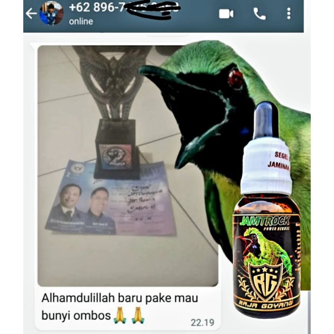 Oil Booster JAMTROCK Cucak Hijau Raja Goyang (RG) termurah bisa Cod 100% produk Original