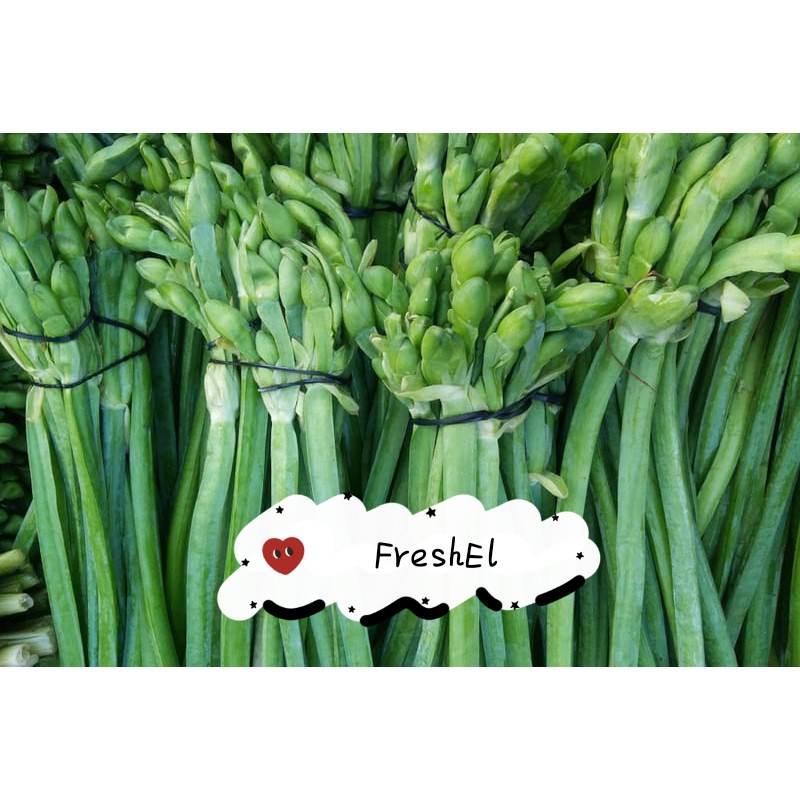 

FreshEl - GENJER SEGAR 2 IKAT