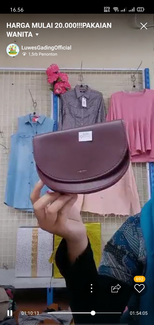 Tanaman Hias Euphorbia Eforba Tanaman Berduri Tanaman Outdoor