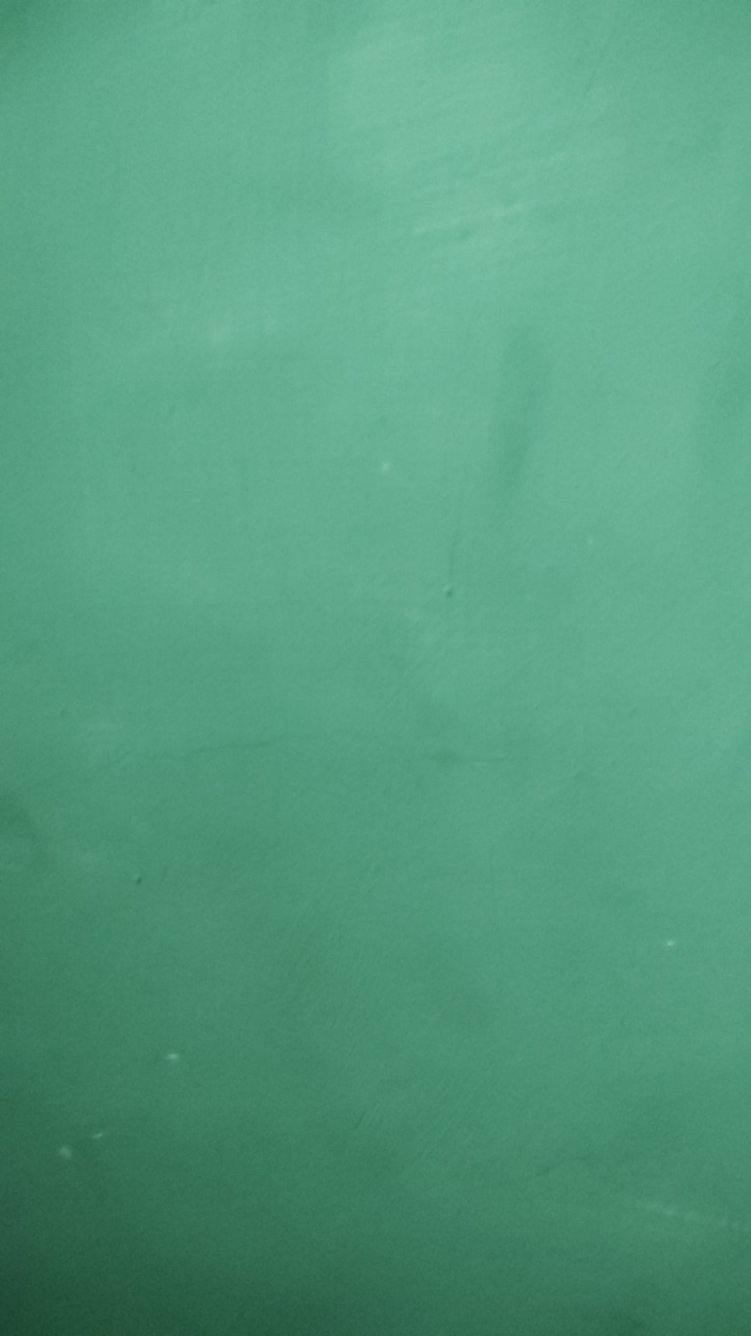 Sapu Hana Semangka/watermelon Broom