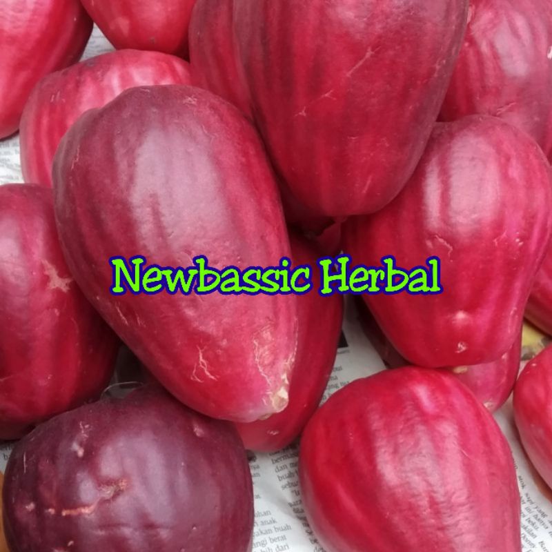 

buah jambu bol fresh 500g