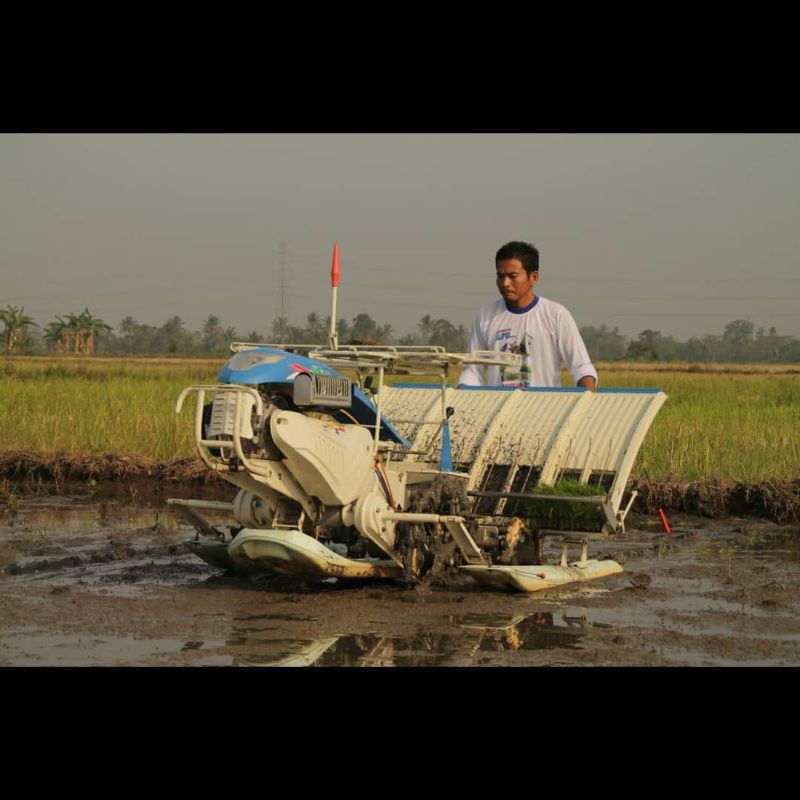 ALPUZ PF48 Mesin Tanam Padi Modern TERLARIS