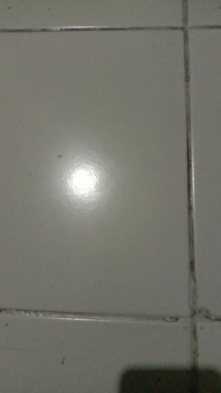 Teko Bunyi 5 Liter/teko Pemanas Air/whistling Kettle Full Stainless