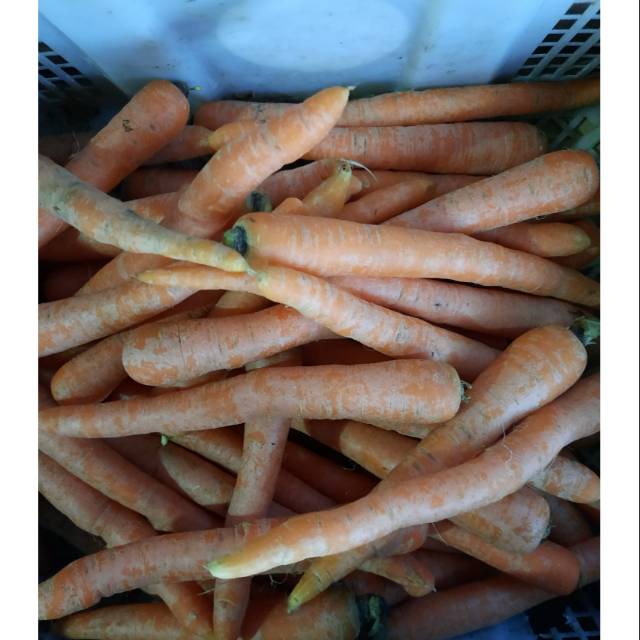 

TERMURAH Wortel lokal - 500gr