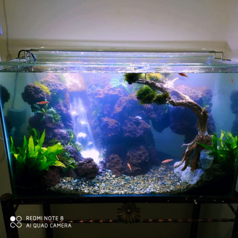 jasa pembuatan aquascape 60 cm tema waterfall bonsai