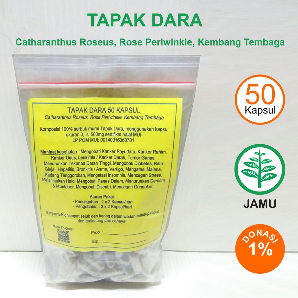 

TAPAK DARA KAPSUL Kanker Payudara Rahim Usus Leukimia Tumor Insomnia Hepatitis Vertigo