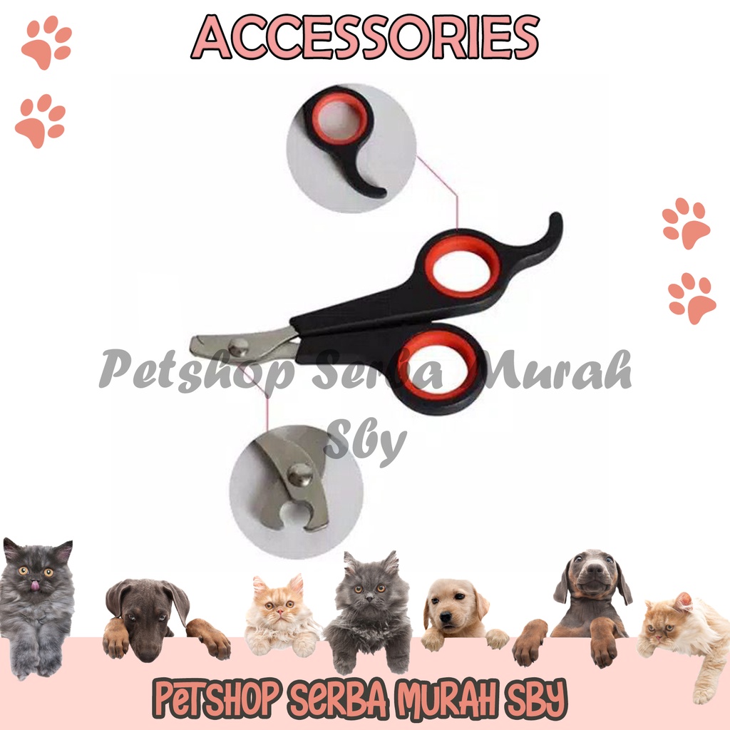 Gunting Kuku Kucing Dan Anjing - Grooming Hewan Peliharaan