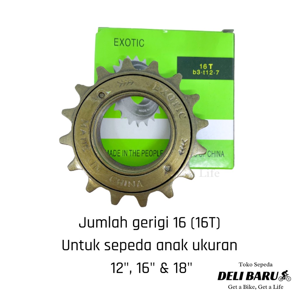 Exotic Freewheel gir belakang 16T sepeda anak