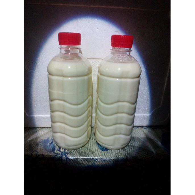 

KEFIR SUSU UNTUK DIET KETO 500 ML
