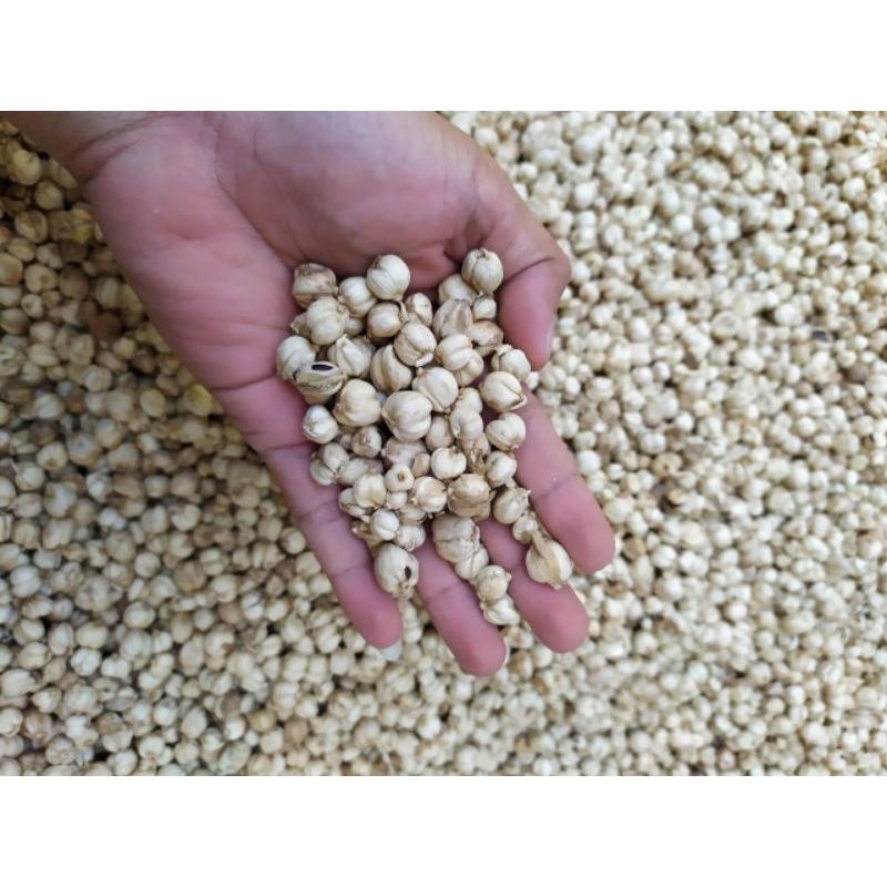 

buah kapolaga kering 250 gr