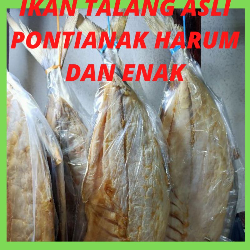 ikan asin  jambal roti ikan asin talang pedak super asli pontianak