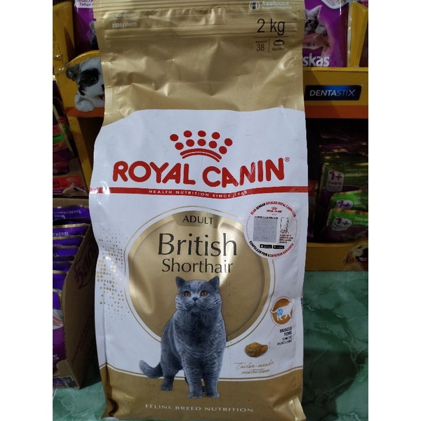 ROYAL CANIN BRITISH SHORTHAIR ADULT2 KG