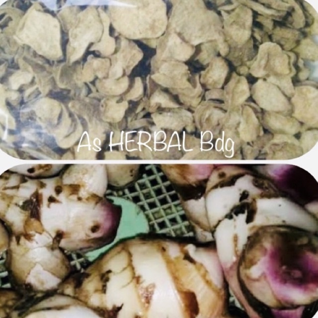 

Umbi ganyong iris kering 200 gram asli