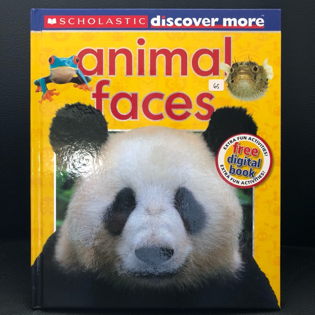 BBW Readystock SALE Animal Faces Scholastic Buku Murah Impor