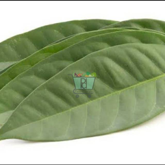 

Daun Salam Per Pack