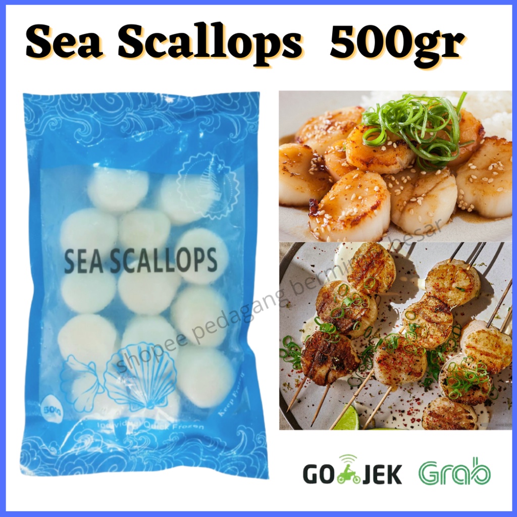 Sea Scallops 500g/ Scallop/  Kerang Kampak