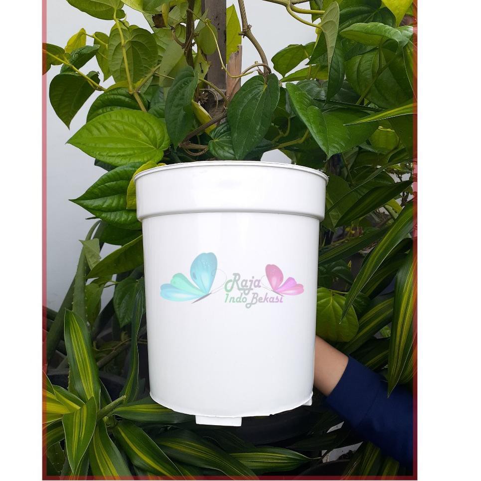 【JOB】 POT USA EIFFEL 25 PUTIH HITAM - Pot bunga tinggi putih pot tanaman aglonema keladi bukan pot t