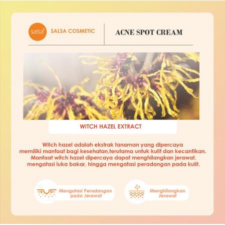 ^ KYRA ^ Salsa Acne Spot Cream Intensive Care Treatment Atau Obat Totol Jerawat - Netto 15 gr