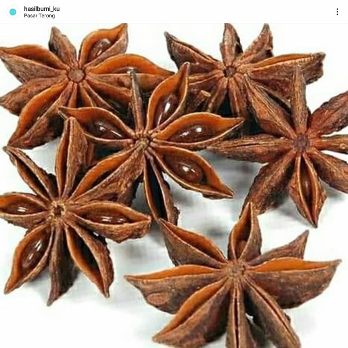 

Pekak/Bunga Lawang pasar online makassar