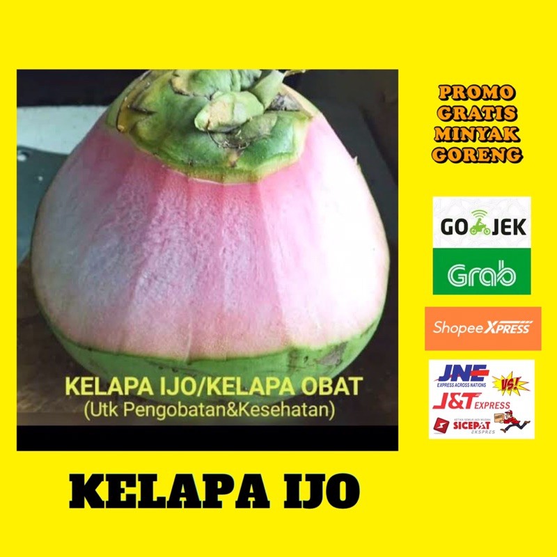 

KELAPA IJO 1 BUAH