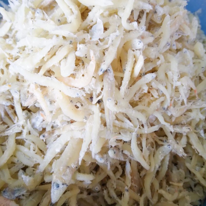 

100 GRAM TERI MEDAN KUALITAS TERBAIK
