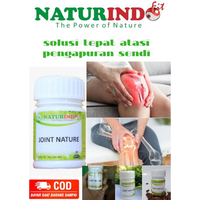 JOINT NATURE (spesial pembengkakan dan sendi