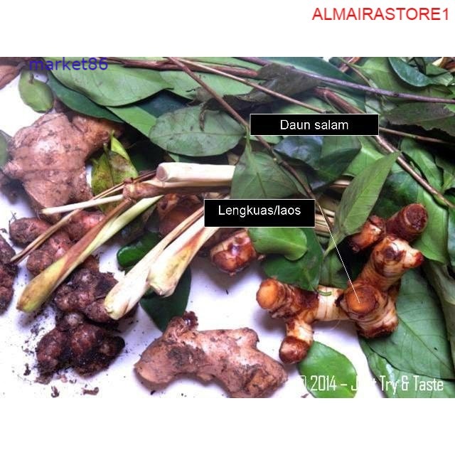 

Grosir Sayuran Segar Sayur FRESH Bumbu Dapur Per Pack - Market86