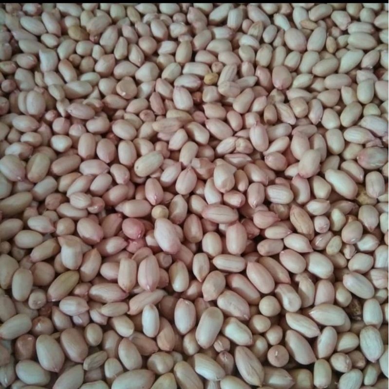 

2kilo kacang tanah