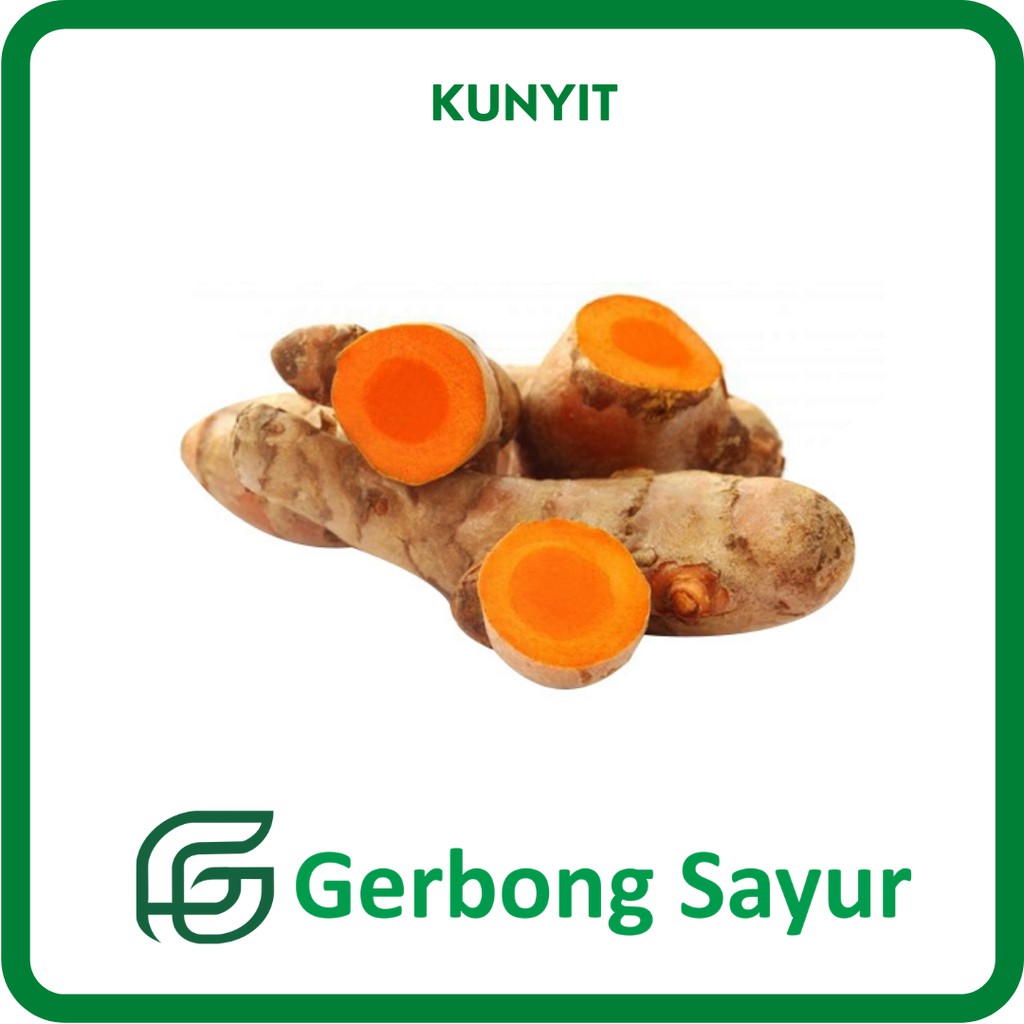 

Bumbu Kunyit Segar - 250g