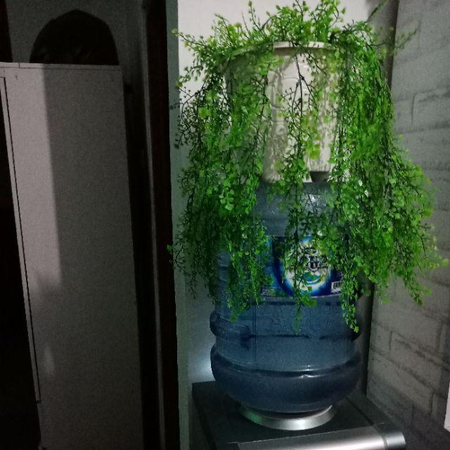 Daun Rambat Menjuntai/dekorasi Rumah