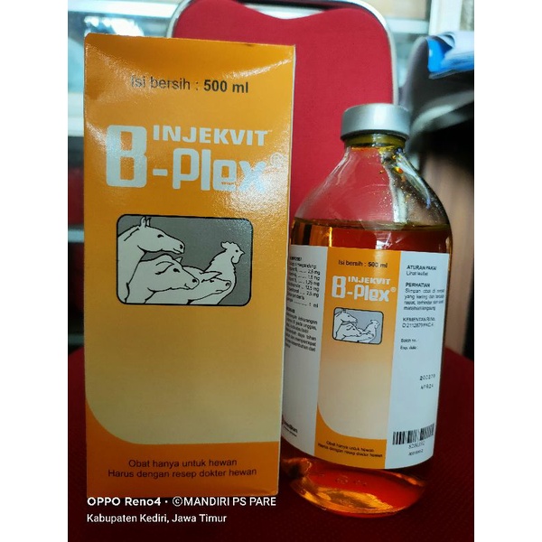 INJEKVIT B PLEX 500ML MEDION (VITAMIN B COMPLEX)